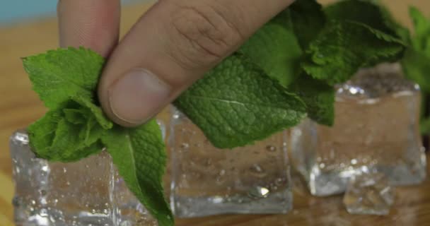 Eiswürfel und Minzblätter isoliert auf einem Holzschneidebrett — Stockvideo