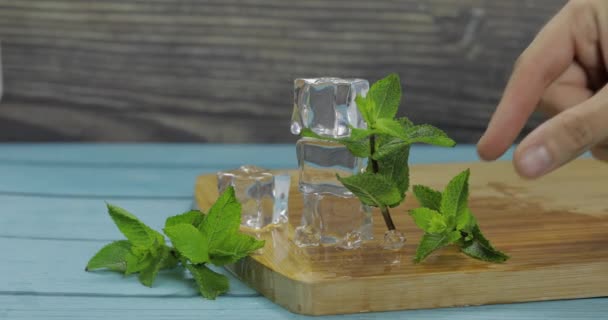 Ice cubes and mint leaves isolated on wooden cutting board — Stock Video