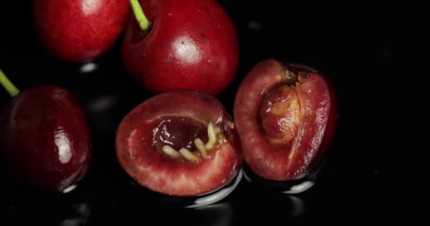 썩은 체리, 검은 배경에 과일 벌레. 벚꽃의 유충이 날아간다. 근접 촬영 — 비디오