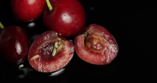 Gusanos de fruta en cereza podrida, fondo negro. Larva de moscas de cereza. Primer plano. — Vídeo de stock