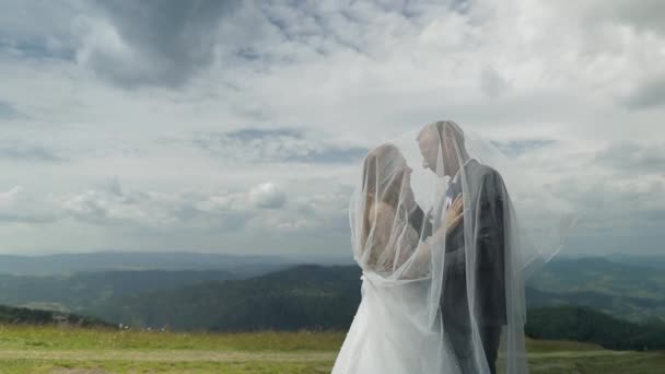 Жених с невестой веселятся на горах. Свадебная пара. Счастливая семья — стоковое видео