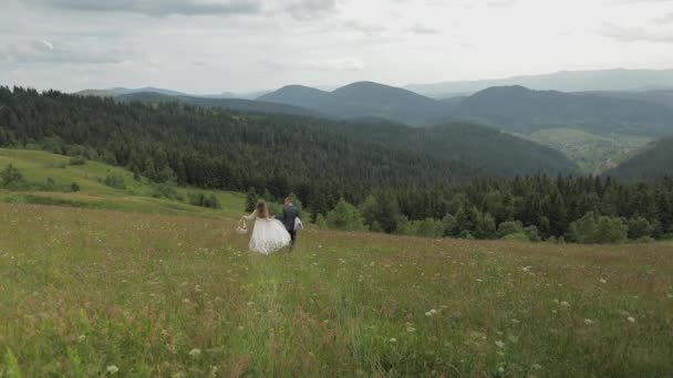 Groom avec la mariée aller pour un pique-nique sur une colline de montagne. Un couple. Famille — Video