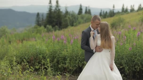 Brudgummen med bruden tillsammans på ett berg kullar. Bröllopspar. Lycklig familj — Stockvideo