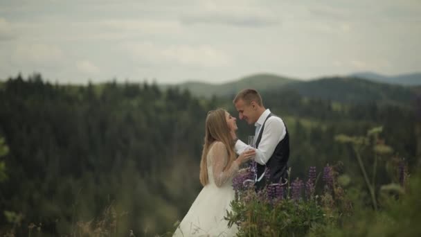 Brudgummen med bruden dricker champagne på ett berg kullar. Bröllopspar. Familj — Stockvideo