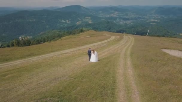 산 언덕에서 함께 걷는 신부와 신랑. 공중 무인 항공기 샷 — 비디오
