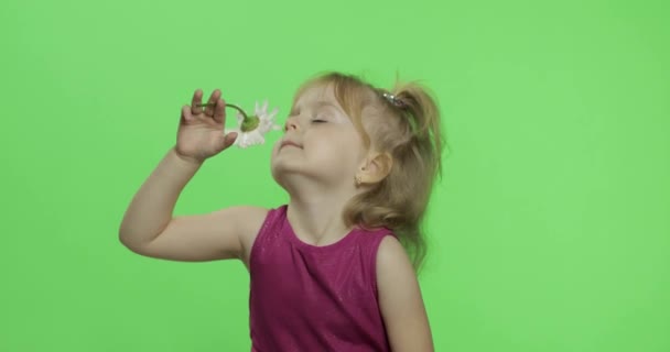 Chica sostiene flor de manzanilla y olfatea. Feliz niña de cuatro años. Clave de croma — Vídeos de Stock