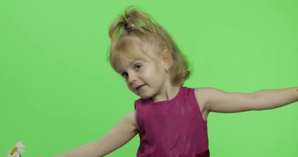 Chica sostiene flor de manzanilla y olfatea. Feliz niña de cuatro años. Clave de croma — Vídeos de Stock