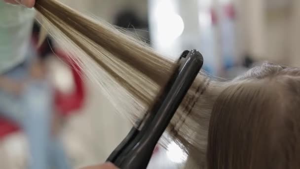 Peluquería profesional que trabaja con el cabello modelo. Enderezamiento de hierro corrugado — Vídeo de stock