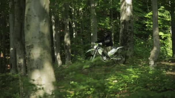 Болехов, Украина - 12 июля 2019 года: Экстремальный мотоциклист едет по лесу — стоковое видео