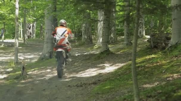 Bolechov, Ukraina-12 juli 2019: extrema motorcyklist rider på skogen — Stockvideo