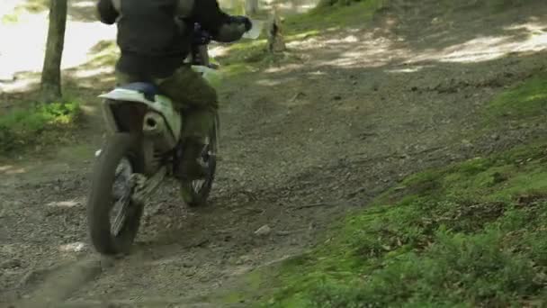 Экстремальный мотоциклист едет по лесным дорогам. Мотокросс. Мотоцикл — стоковое видео
