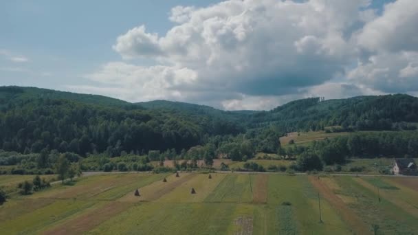 Aerial drone shot near the mountain landscape summer season sunny day — Stock Video