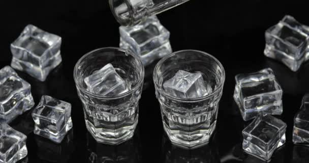 Giet twee schoten van wodka van een fles in glas. Zwarte achtergrond — Stockvideo