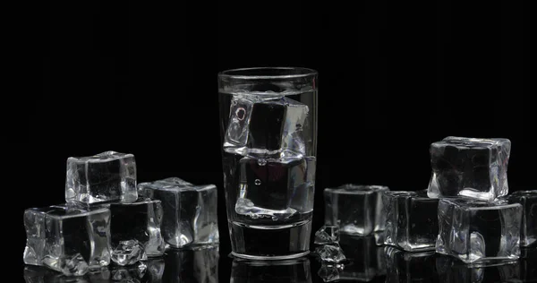 Tiro de vodka com cubos de gelo contra fundo preto — Fotografia de Stock