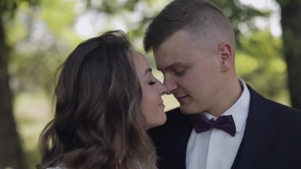 Sposo con sposa che fa un bacio nel parco. Matrimonio. Sposi novelli felici — Video Stock