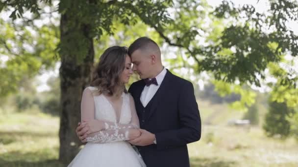 Groom with bride in the park. Wedding couple. Happy family. Newlyweds hugs — Stock Video