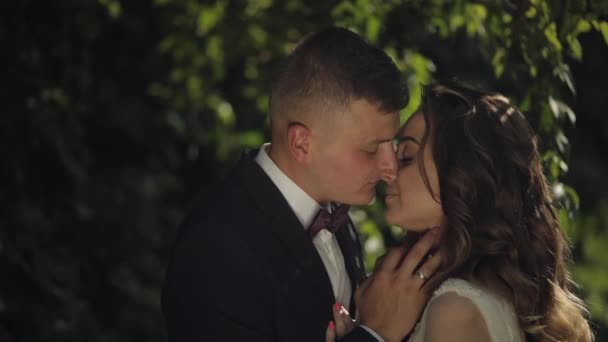 Kaukázusi vőlegény a menyasszony a parkban. Esküvői pár. Boldog család. Újak — Stock videók