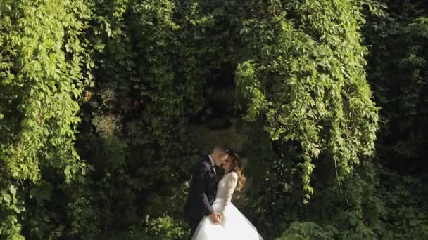 Novio caucásico con novia en el parque. Pareja de bodas. Familia feliz. Recién casados — Vídeos de Stock