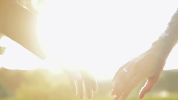 Hands of bride and groom in sunbeams. Wedding couple. Happy family. Newlyweds — Stock Video