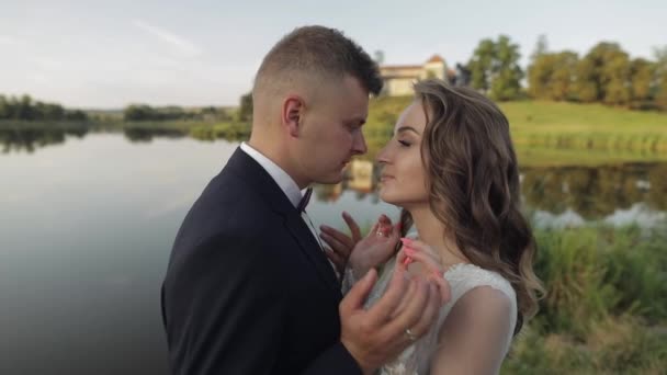 Caucasian groom with bride in the park near lake. Wedding couple. Newlyweds kiss — Stock Video