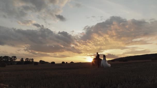 Bruidegom en bruid silhouetten springen op het veld. Bruiloft paar. Pasgetrouwden — Stockvideo