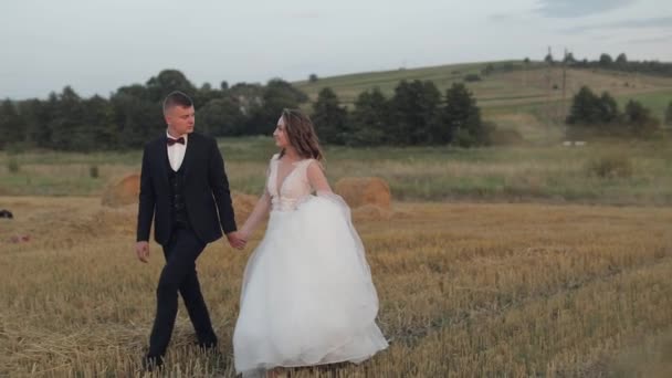 Groom with bride walking through the field. Wedding couple. Happy newlyweds — Stock Video