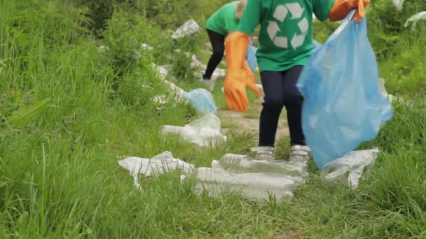 Voluteer menina arrumando sacos de plástico, garrafas lixo na floresta. Reciclar. Poluição da natureza — Vídeo de Stock