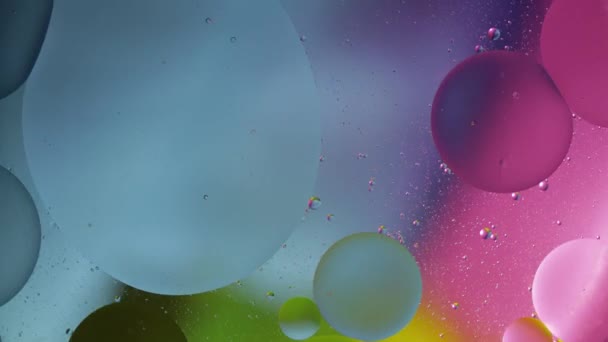 Estructura macro de burbujas de aceite de colores. Movimiento caótico. Fondo multicolor abstracto. Patrón — Vídeos de Stock