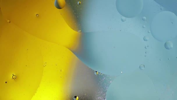 Макроструктура разноцветных масляных пузырей. Хаотичное движение. Абстрактный разноцветный фон. Паттерн — стоковое видео