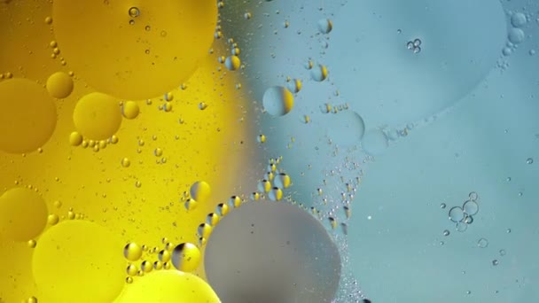 Makrostrukturen av färgglada oljebubblor. Kaotiska rörelser. Abstrakt flerfärgad bakgrund. Mönster — Stockvideo