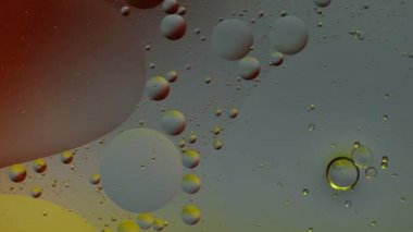 Renkli yağ kabarcıklarının makro yapısı. Kaotik hareket. Soyut çok renkli arkaplan. Desen