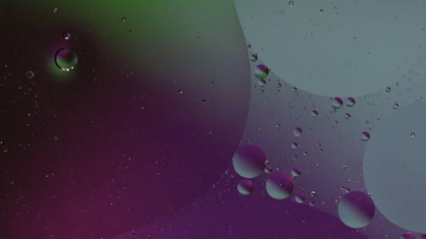 Macro structure de bulles d'huile colorées. Mouvement chaotique. Fond multicolore abstrait. Modèle — Video
