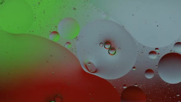 Makrostruktur bunter Ölblasen. Chaotische Bewegung. Abstrakter bunter Hintergrund. Muster — Stockvideo