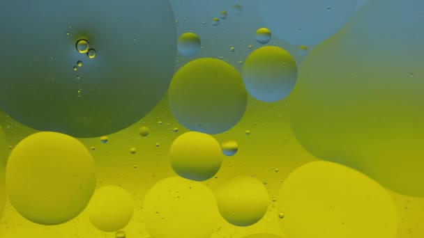 Makrostrukturen av färgglada oljebubblor. Kaotiska rörelser. Abstrakt flerfärgad bakgrund. Mönster — Stockvideo