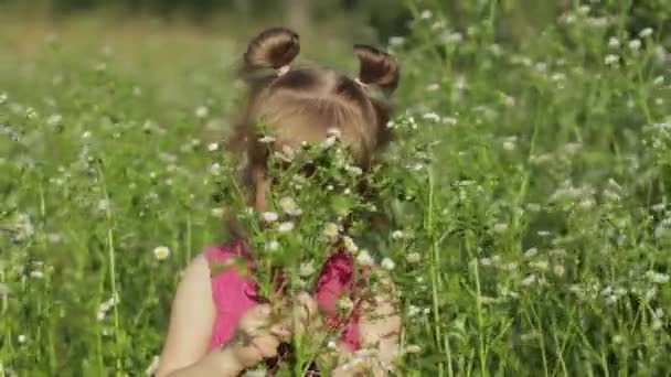 Pequena menina loira em vestido rosa ficar em flor camomila grama prado. Buquê de margaridas — Vídeo de Stock