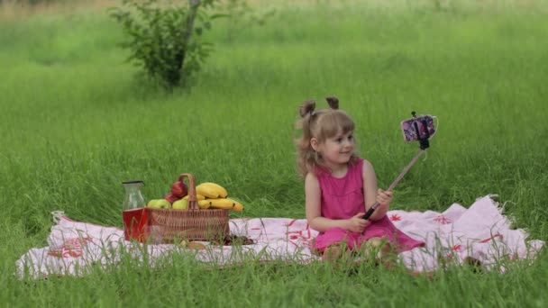 Fim de semana no piquenique. Menina no prado grama faz selfie no telefone móvel com vara de selfie. Chamada de vídeo — Vídeo de Stock