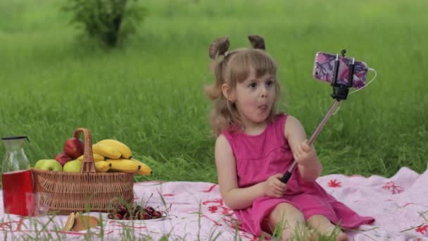 ピクニックの週末だ。草の牧草地の女の子は自撮り棒で携帯電話で自撮りになります。ビデオ通話 — ストック動画