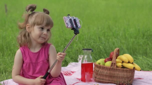 去野餐的周末草地上的女孩用自拍棒在手机上做自拍。视频通话 — 图库视频影像