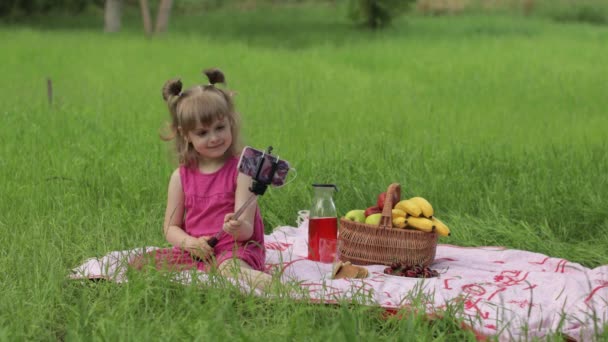 Выходные на пикнике. Девушка на травяном лугу делает селфи на мобильном телефоне с селфи-палкой. Видеозвонок — стоковое видео