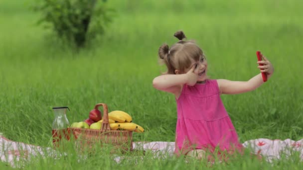 ピクニックの週末だ。草の牧草地の少女は、携帯電話で自撮りになります。ビデオ通話,ブログ,ゲームをする — ストック動画