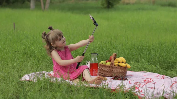 Fin de semana en el picnic. Chica en el prado de hierba hace selfie en el teléfono móvil con palo de selfie. Videollamada —  Fotos de Stock