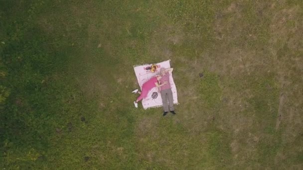 Piknik keluarga akhir pekan di taman. Pemandangan udara. Pasangan tua senior berbaring di atas selimut di padang rumput hijau — Stok Video
