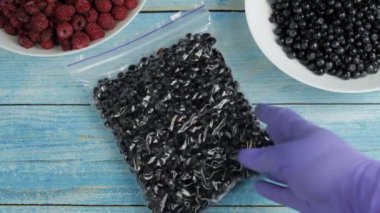 Buz tutmak için plastik poşetlerde yaban mersini paketleri. Donmuş ve korunmuş meyveler.