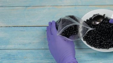 Donmak için fermuarlı plastik torbalara yaban mersini paketliyorum. Donmuş, korunmuş meyveler, meyveler