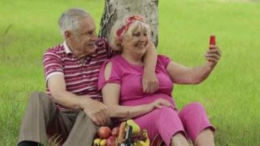 Aile pikniği. Parktaki yaşlı büyük anne ve büyük baba, internet üzerinden akıllı telefon kullanıyor.