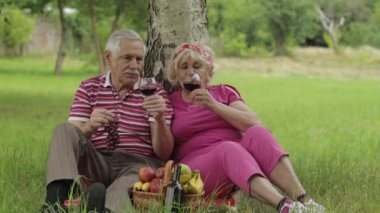 Hafta sonu parkta aile pikniği. Yaşlı çift ağacın yanına oturur, meyve yer, şarap içerler.