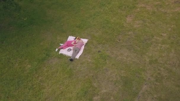 Familjelweekend picknick i parken. Flygfoto. Senior gamla par ligger på filt på grön gräsäng — Stockvideo