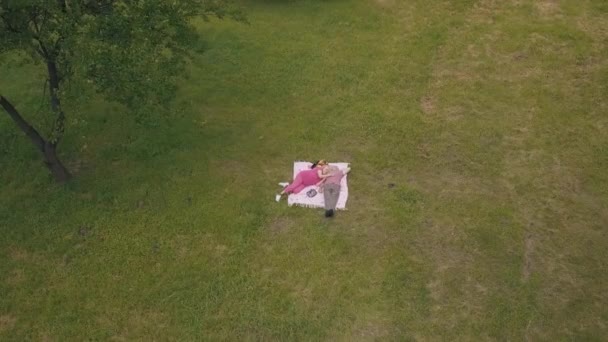 Rodinný víkend piknik v parku. Letecký pohled. Starší starý pár ležet na dece na zelené trávě louce — Stock video