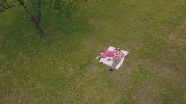 Семейный пикник в парке. Вид с воздуха. Старшая пара лежит на одеяле на зеленом лугу — стоковое видео