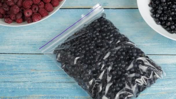 Envases con arándanos en bolsas de plástico con cremallera para congelar. Alimentos congelados, bayas de conservación — Vídeos de Stock